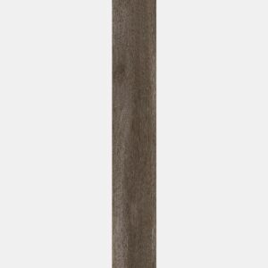 CEDRUS