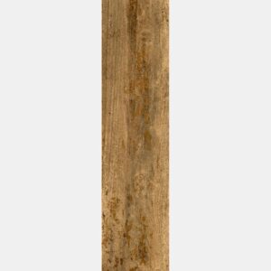 SEQUOIA LAUREL